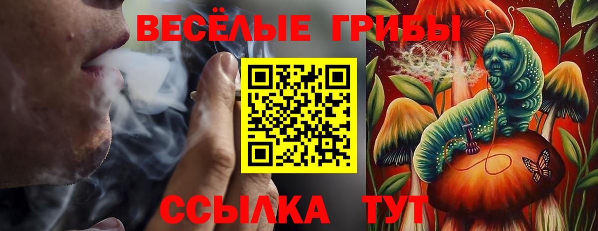 Псилоцибиновые грибы GOLDEN TEACHER  Вход с VPN  наркошоп  Воронеж 