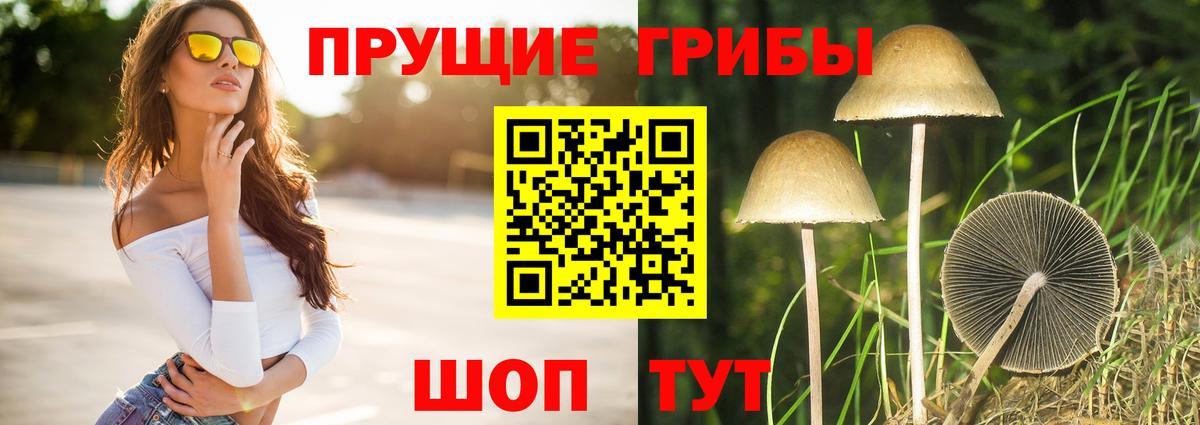 Галлюциногенные грибы MAGIC MUSHROOMS Воронеж